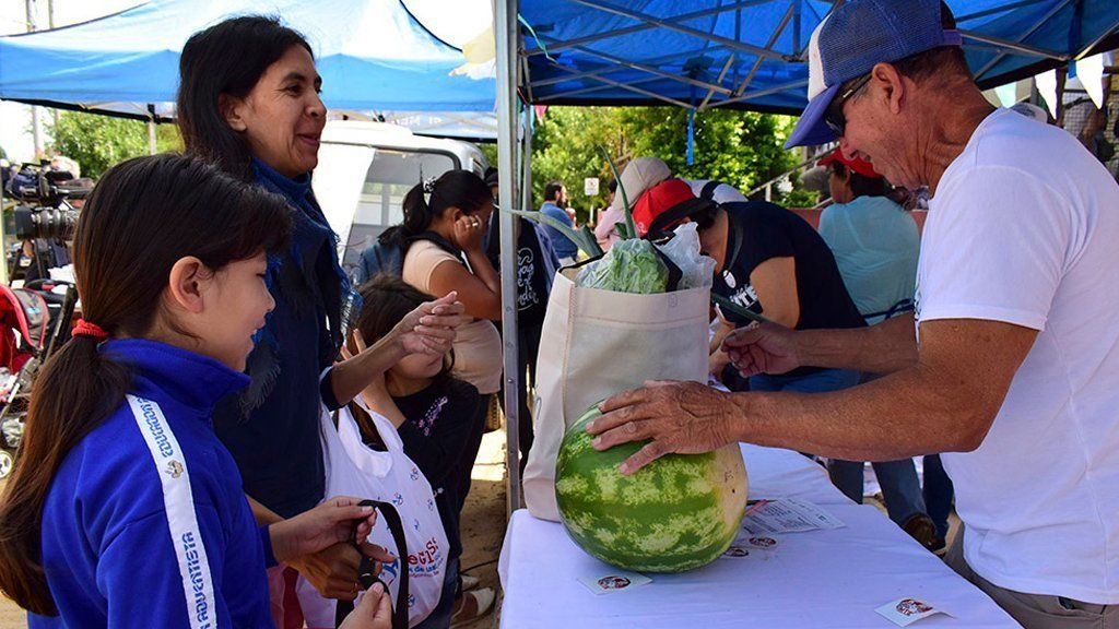 Tarjeta alimentaria: El 60% de lo gastado corresponde a productos recomendables