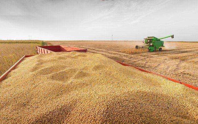 El 86% de las exportaciones de Córdoba en el primer semestre fueron de origen agroindustrial