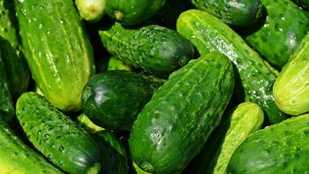 No tires la cáscara del pepino: cuáles son sus grandes beneficios para la salud