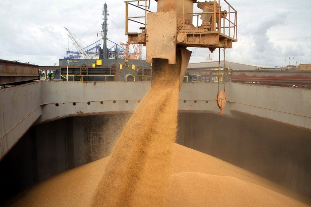 El ingreso de divisas por la exportación de granos y subproductos aumentó 62% en los primeros 11 meses del año.