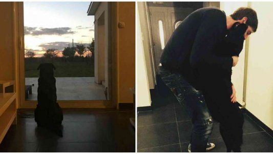 Nala, la mascota de Sala, también fue a despedir a su amigo en el velorio