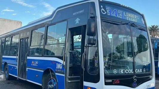 Un sorpresivo paro de colectivos afecta a 11 líneas del AMBA: cuáles son