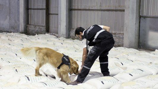 Confirman la preventiva para un colombiano juzgado como líder de la banda del narcoarroz