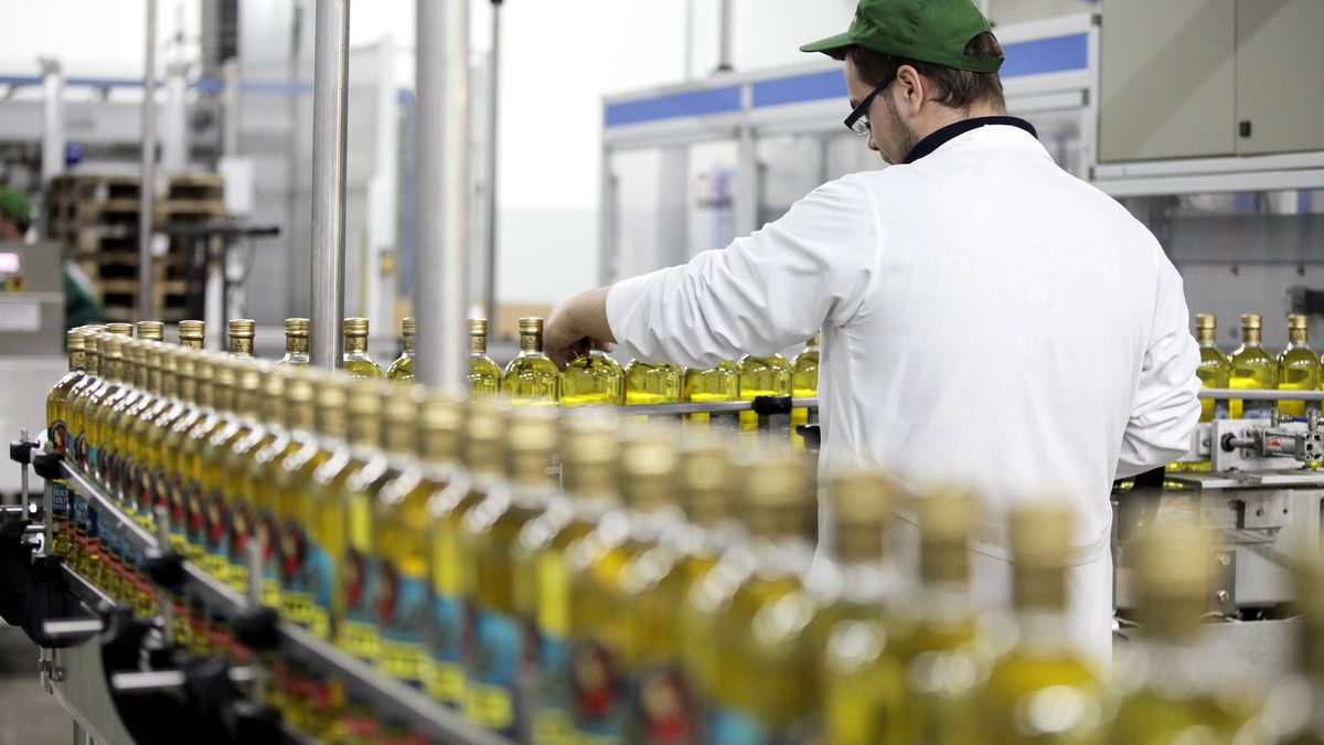 El Gobierno prorrogó hasta el 31 de enero de 2023 la vigencia del Fideicomiso del Fondo Fiduciario Aceitero. (Foto: archivo)