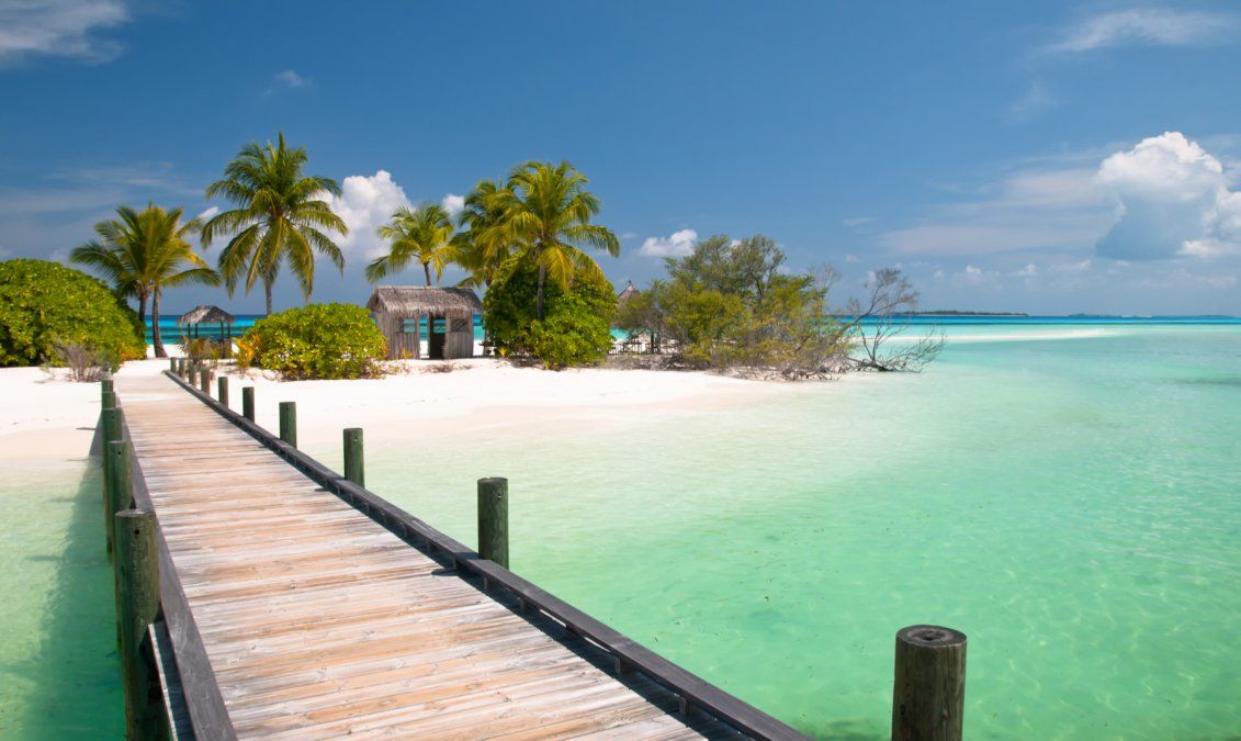 Insólita propuesta laboral en una isla de las Bahamas.