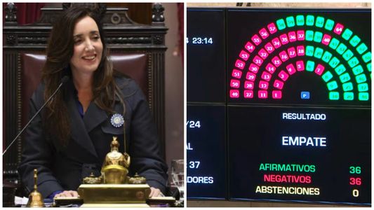 Quiénes fueron los senadores que votaron a favor y en contra de la Ley Bases