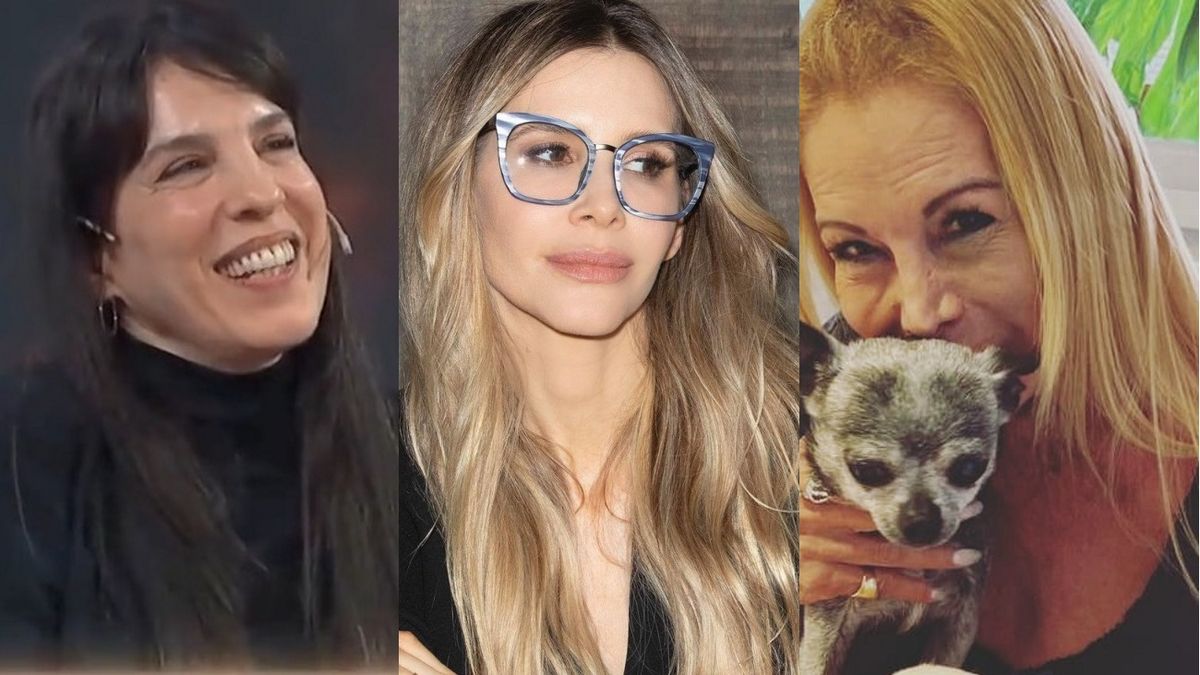 Paula Robles, Guillermina Valdés y Soledad Aquino, ex mujeres de Marcelo Tinelli.&nbsp;