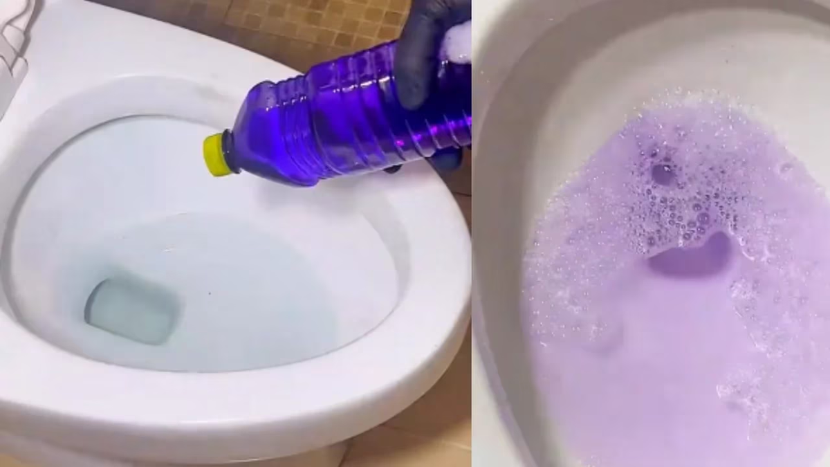 Mostró el truco definitivo para que el baño tenga rico olor &nbsp;y se volvió viral: Todo el mes