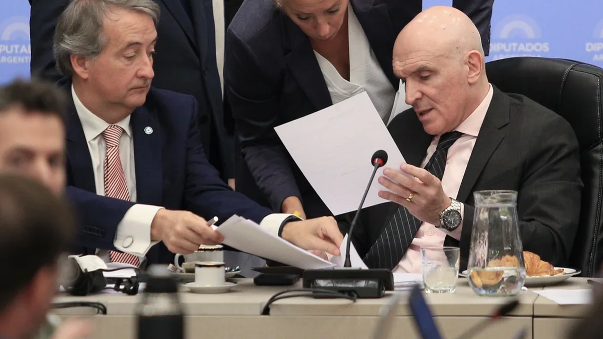 El diputado José Luis Espert durante la reunión en la comisión de Diputados. (Foto NA)