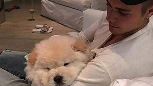 Justin Bieber se deshace de otra mascota que requiere cuidados médicos