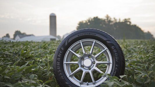 Goodyear y la adquisición sostenible de soja para neumáticos