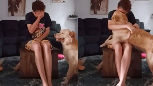 El conmovedor video de un perro que ayuda a una joven autista mientras sufre un ataque de pánico