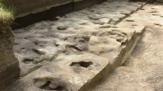 El impresionante HALLAZGO MILENARIO en el fondo de un lago de Alemania