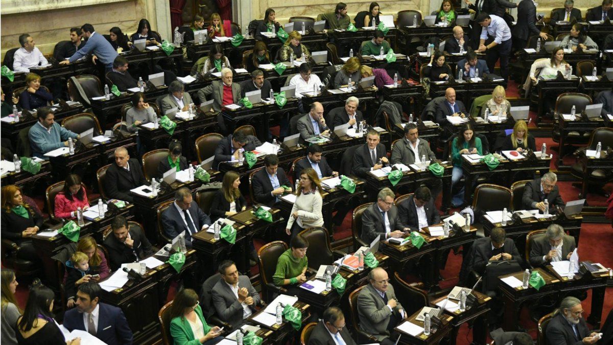 Es oficial: no dejarán entrar pañuelos verdes (ni celestes) en las exposiciones por la legalización del aborto en el Senado