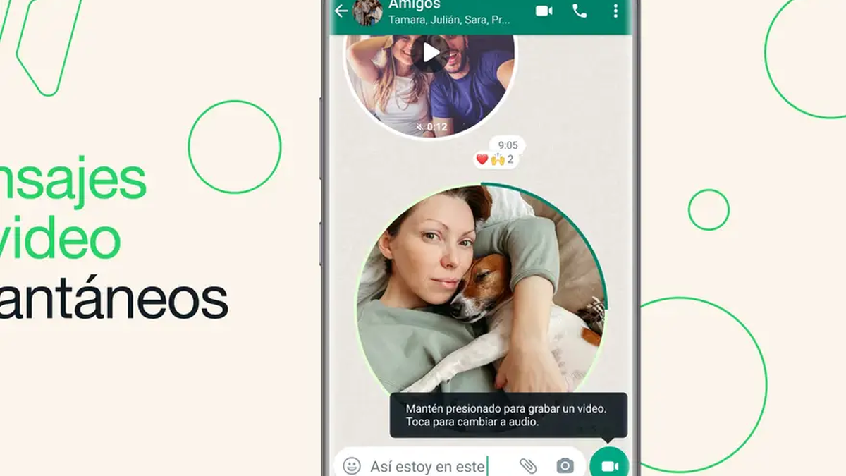WhatsApp rompe todo con su innovación: videos redondos