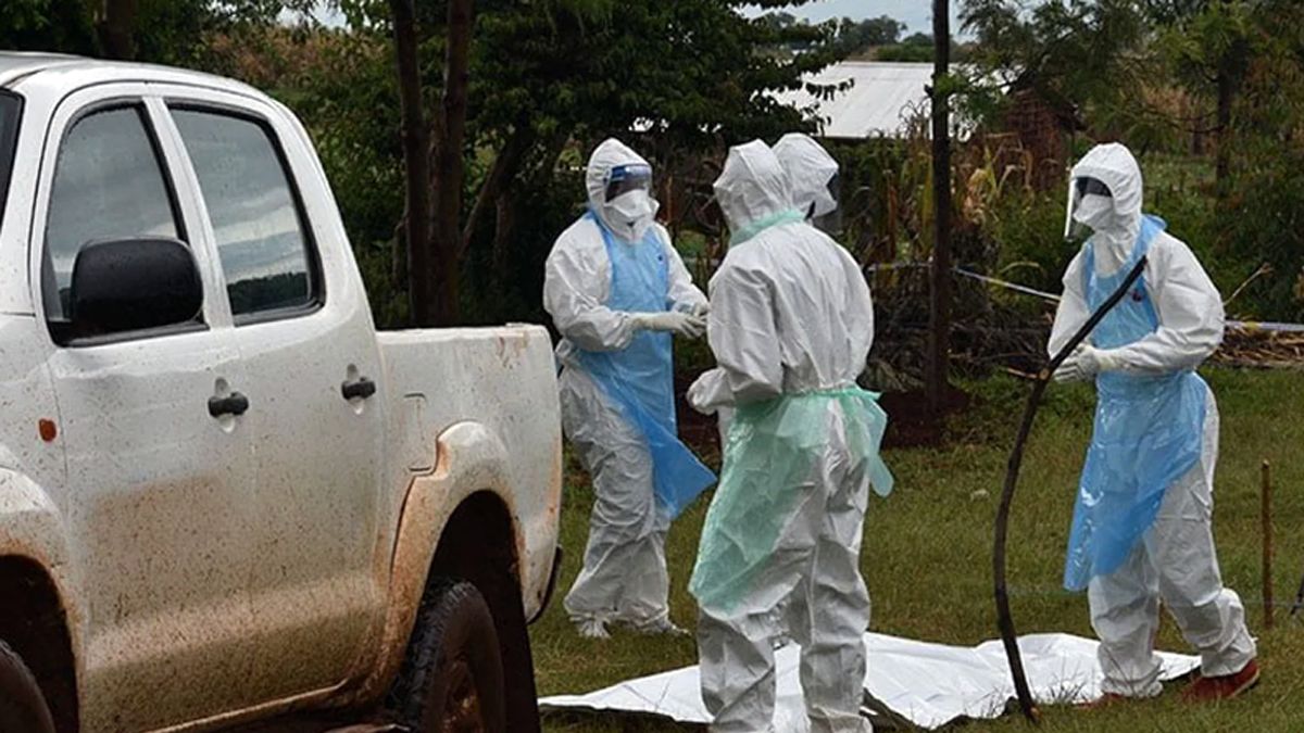 Alertan por la peligrosidad del mortal virus de Marburgo. (Foto: NDTV)