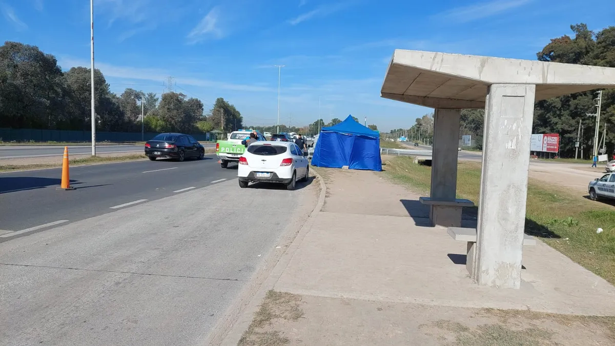 Ocurrió en el cruce de Vieytes y la avenida Mariano Castex.&nbsp;