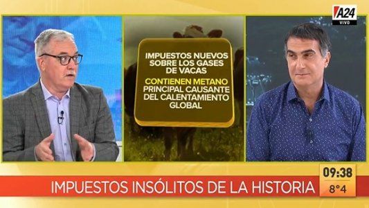 Impuesto a la barba o a las ventanas: cuáles fueron los tributos más insólitos en la historia de la humanidad