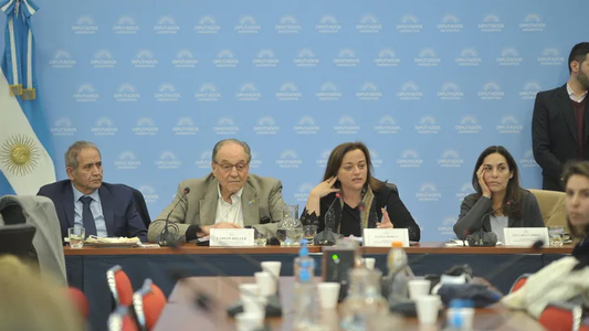 El oficialismo logró imponer su dictamen para el proyecto que crea un fondo para pagarle al FMI con dinero fugado