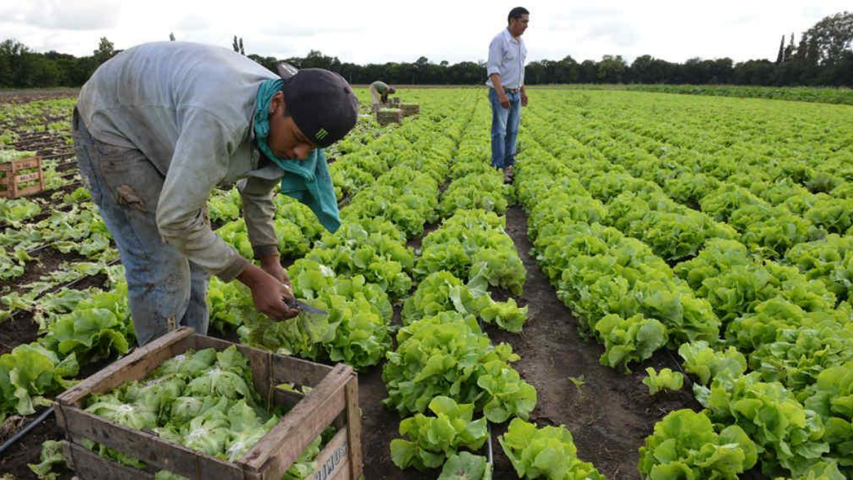 Los trabajadores rurales tendrán un aumento salarial del 32%