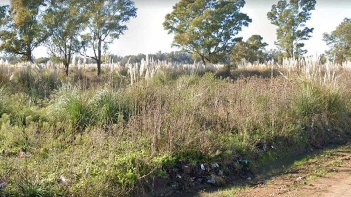 Encontraron el cuerpo de una mujer en un descampado en Ezeiza. (Foto: archivo)