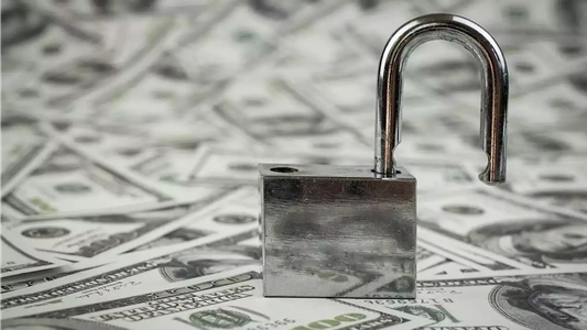 ¿Bonos CER o dólar?: cuáles son las mejores opciones de inversión para lo que queda del año