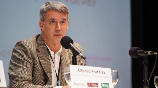 Economía, campo y retenciones: para Alfonso Prat Gay la sociedad está entrando en una dinámica muy preocupante