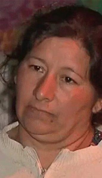 Caso Loan: las tres maniobras por las que la fiscalía acusa a Laudelina Peña de encubrir la desaparición