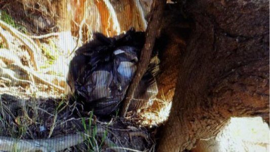 Encontraron la mochila de Navila en Chascomús: estaba envuelta en un nylon azul