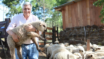¿Corderos en Misiones? La historia del productor que abastece a su propio restaurante y solo prepara platos con carne ovina