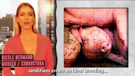 Famosos en contra del acuerdo con China para la producción porcina en Argentina