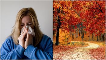 Las claves para reforzar el sistema inmunológico ante la llegada del otoño y los bruscos cambios de temperatura