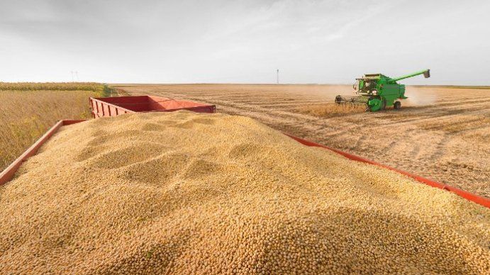 Por los dólares: el Gobierno sigue discutiendo con exportadores una baja temporal de retenciones a los granos