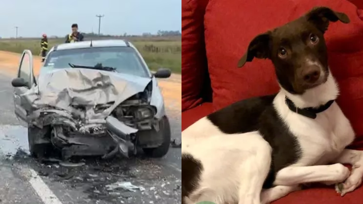 Una pareja sufrió un accidente en Lobos