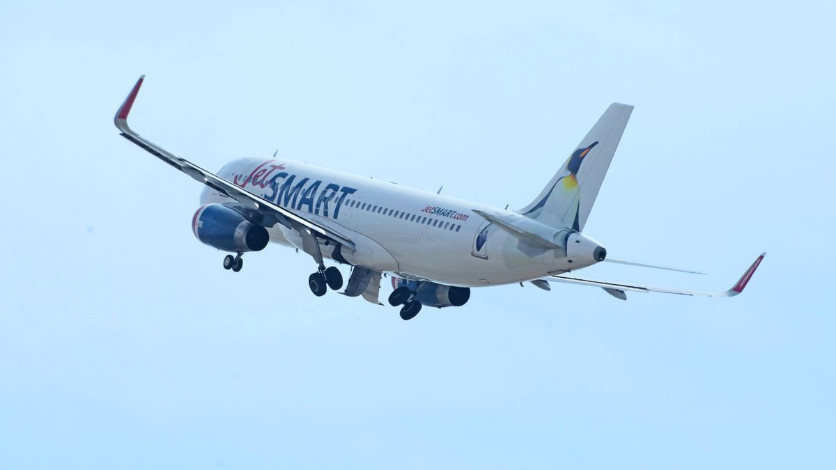 El nuevo Airbus A320 está decorado con un Pingüino Real en la cola de su fuselaje.