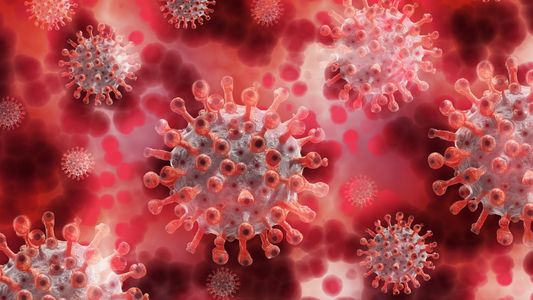 Dos nuevos estudios confirman el origen del coronavirus