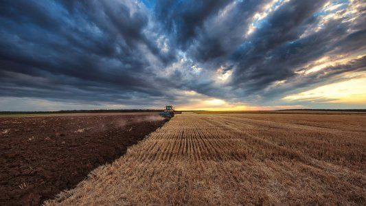Créditos de carbono: buscan compensar a productores por el uso de buenas prácticas