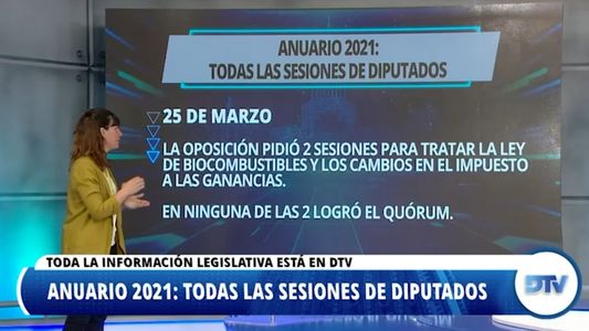 Las leyes que marcaron el año parlamentario en la Cámara de Diputados