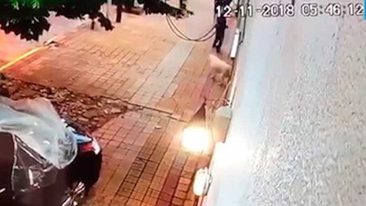Un perro logró frustrar un asaltó en La Plata y quedó grabado en un video de las cámaras de seguridad