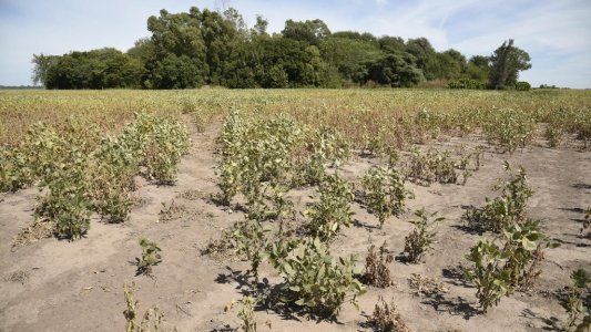 La crisis hídrica es otro de los grandes problemas ocasionados por la sequía en Córdoba