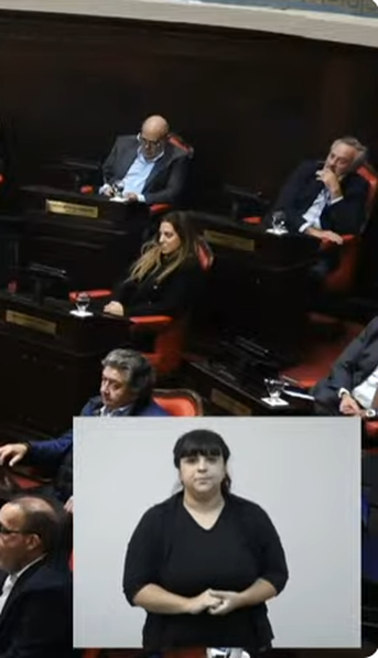 El Senado bonaerense votó a favor de la suspensión de las PASO