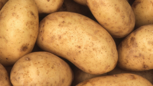 Solidaridad en cuarentena: llevan donadas más de 5.000 toneladas de papas para comedores