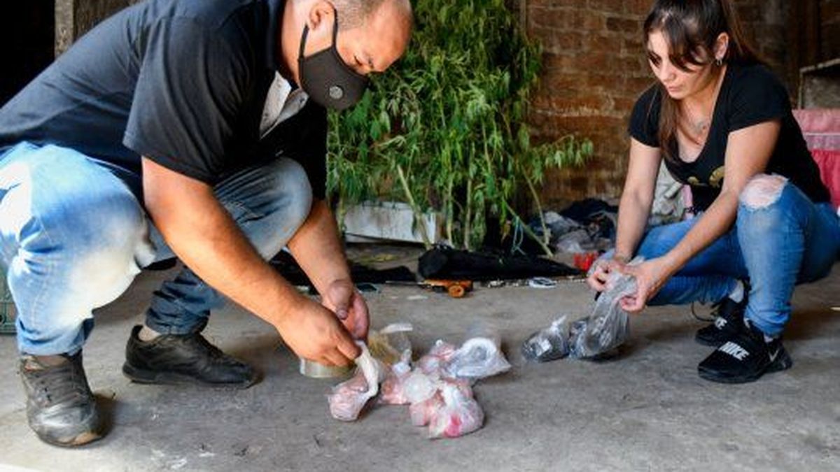 Por el consumo de la cocaína adulterada
