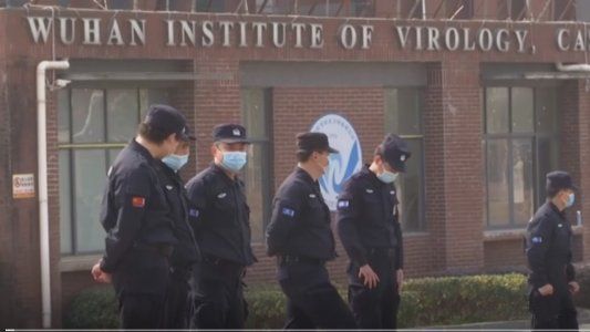 Para la misión de la OMS en Wuhan, la teoría de la fuga del virus de un laboratorio es poco creíble