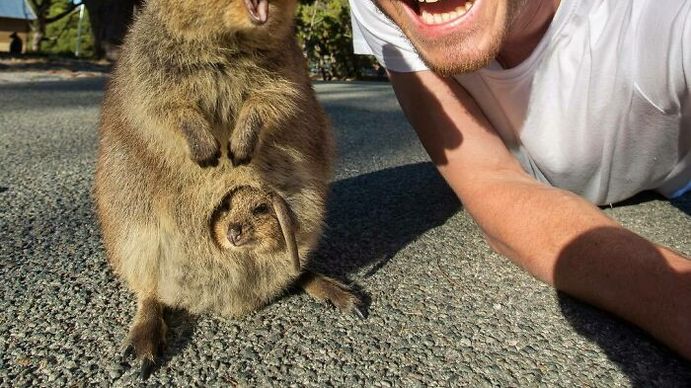 ¿El nuevo Doctor Dolittle? : un joven viaja por el mundo en busca de selfies con amistosos animales