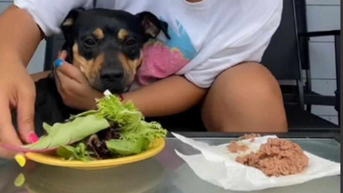 Su dueña aseguraba que su perra era vegetariana