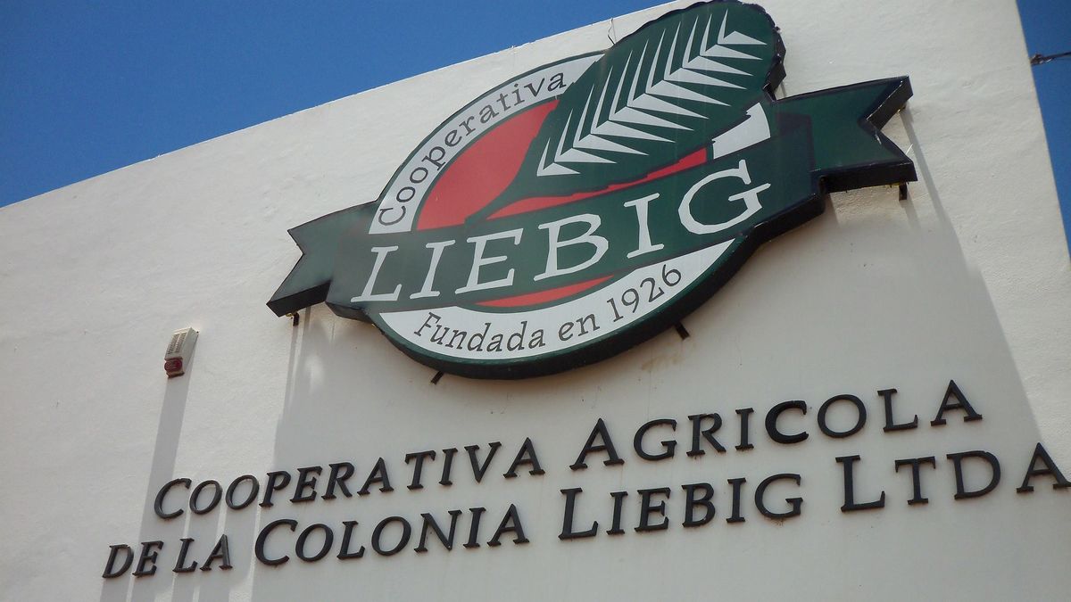 La cooperativa Liebig tiene casi 90 años y aseguran que la sequía es una de las más duras de la historia.