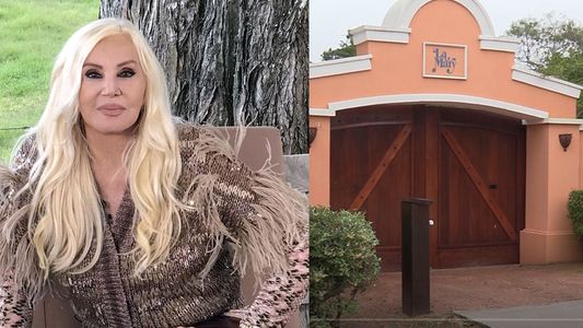 Ovni sobre la casa de Susana Giménez: ¿Qué dijo la pericia técnica de la foto?