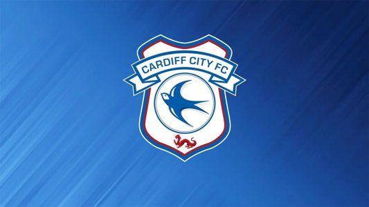 El comunicado del Cardiff City, equipo que había contratado a Emiliano Sala: Rezamos por noticias positivas