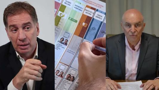 El Gobierno apeló y la Cámara Electoral definirá si autoriza reemplazar a Espert por Santilli en las boletas